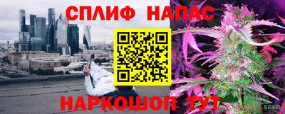 мяу мяу мука Камышлов