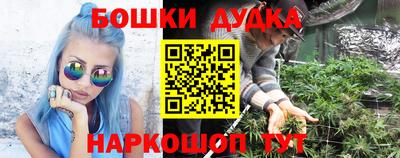 дмт Кандалакша